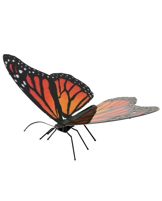 Monarch Butterfly - 5181