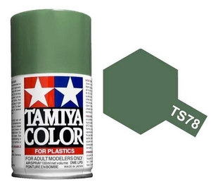 TS-78 Field Gray 2-paints-and-accessories-Hobbycorner