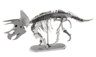 Triceratops Skeleton - 5043