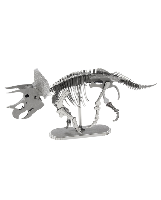 Triceratops Skeleton - 5043