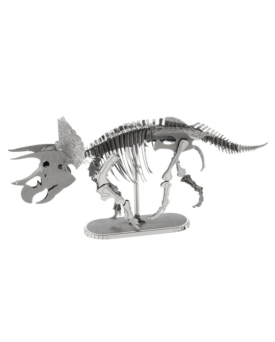 Triceratops Skeleton - 5043