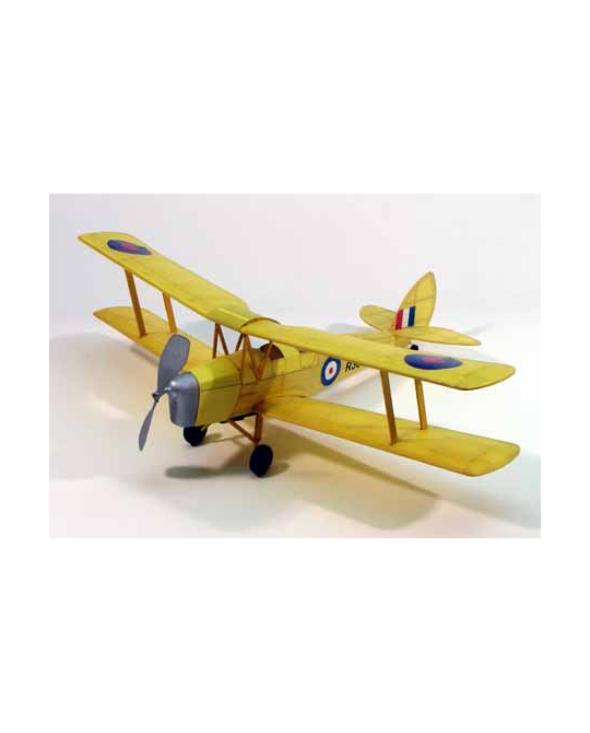 17 1/2 inch Walnut scale Tiger moth - DUM0208