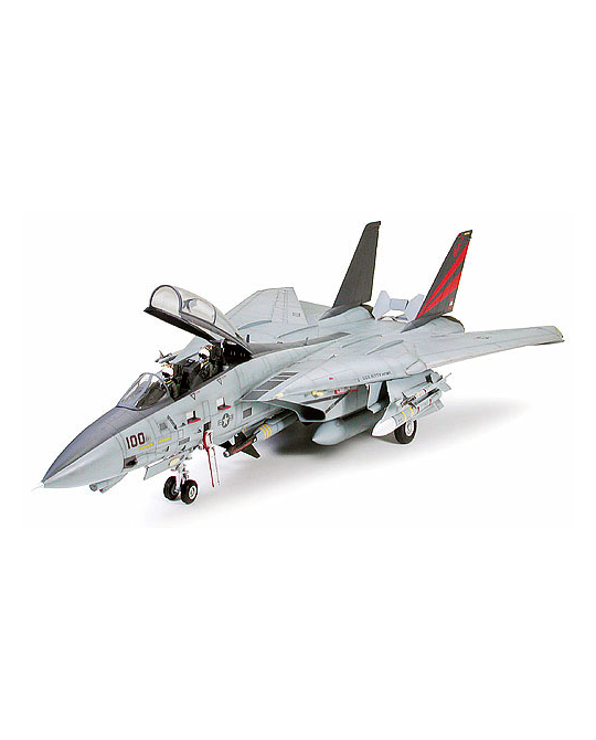 F-14A Tomcat Black Knights - 60313