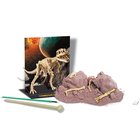 Dig A Tyrannosaurus Rex Skeleton Excavation Kit