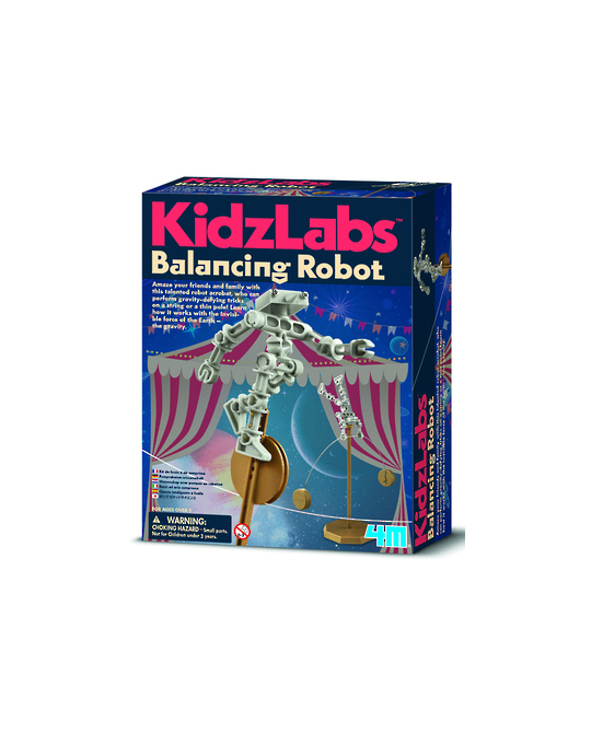 Balancing Robot