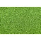 Grass Mat Light Green 635x483mm - 95413