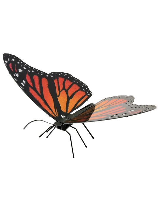 Monarch Butterfly - 5181