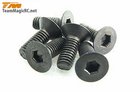 Screws -  Flat Head -  M3.5 x 10mm (6 pcs) -  123510