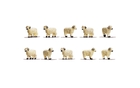 Sheep - R 7122