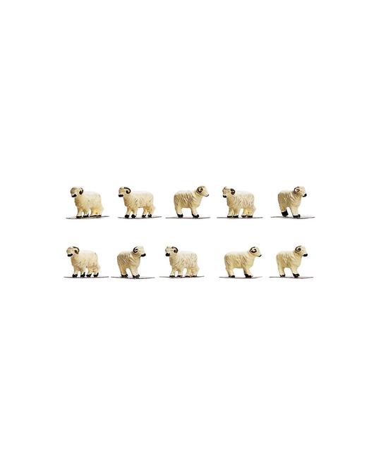 Sheep - R 7122