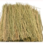 Field Grass - Natural - 95084