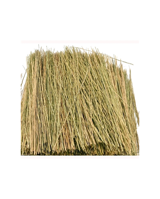 Field Grass - Natural - 95084