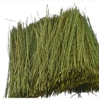 Field Grass - Light Green 15g - 95086