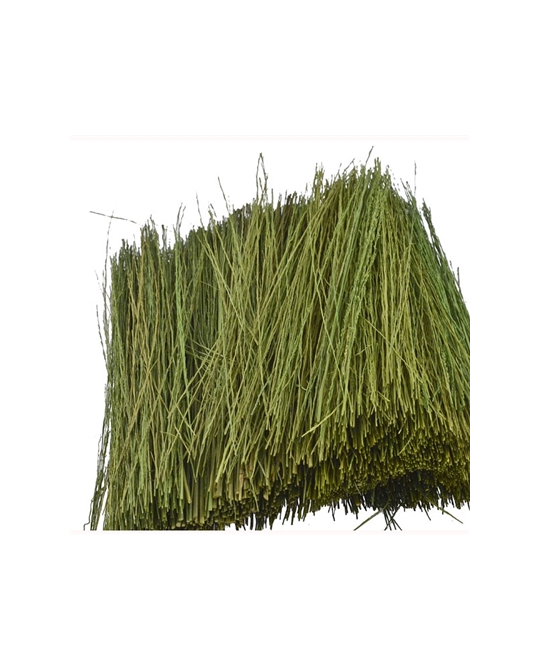 Field Grass - Light Green 15g - 95086