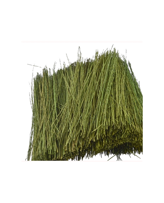 Field Grass - Light Green 15g - 95086