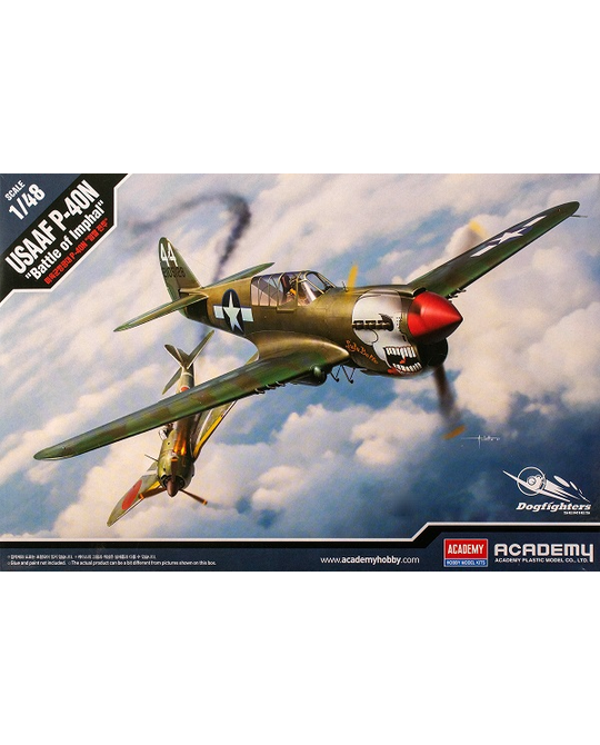 1/48 USAAF P-40N - Battle of Imphal - 12341