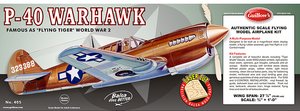 1/16 Curtiss P-40 Warhawk-model-kits-Hobbycorner