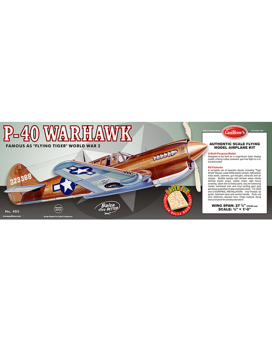 1/16 Curtiss P-40 Warhawk