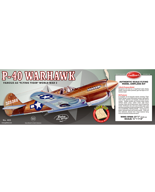 1/16 Curtiss P-40 Warhawk