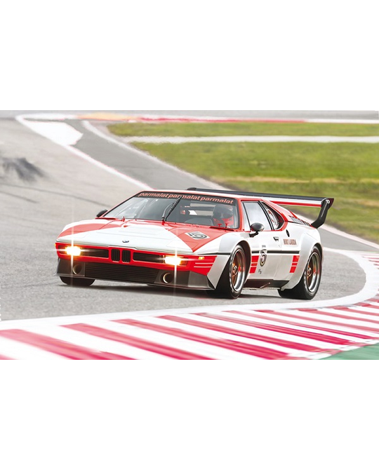 1/24 BMW M1 Procar - 3643