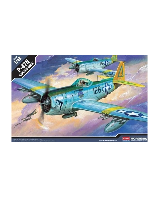 1/48 P-47N Special - 12281