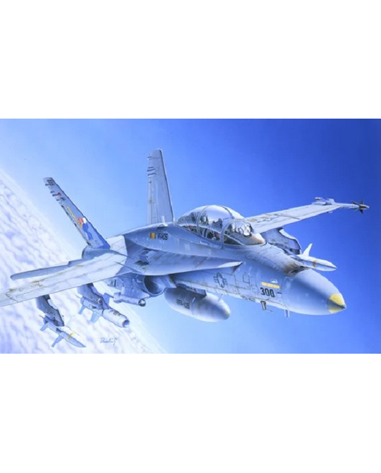 1/72 F/A-18 Wild Weasel - 016
