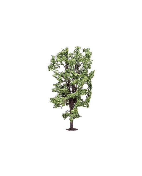 Horse-Chestnut Tree - R7222