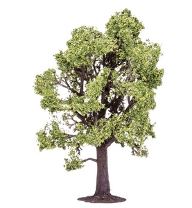 Beech Tree - R7219-trains-Hobbycorner
