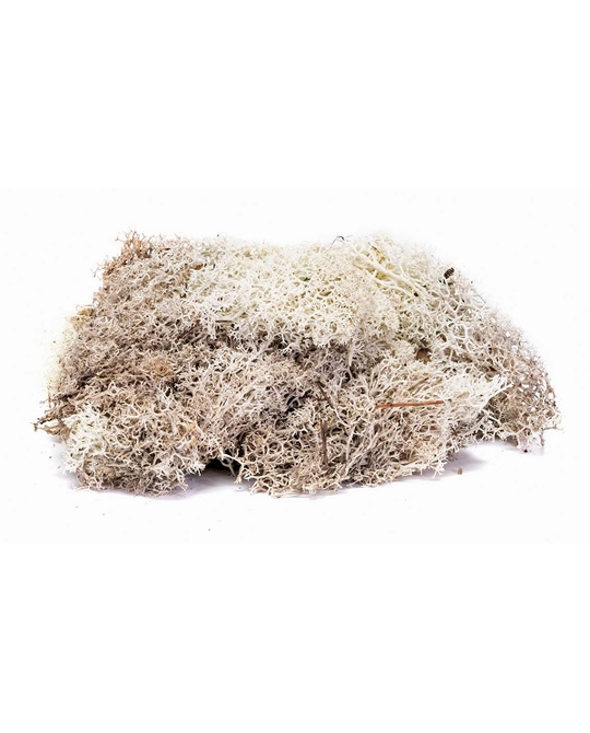 Lichen - Stone Grey - R7193