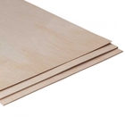 0.8 x 300 x 1200mm Birch Plywood