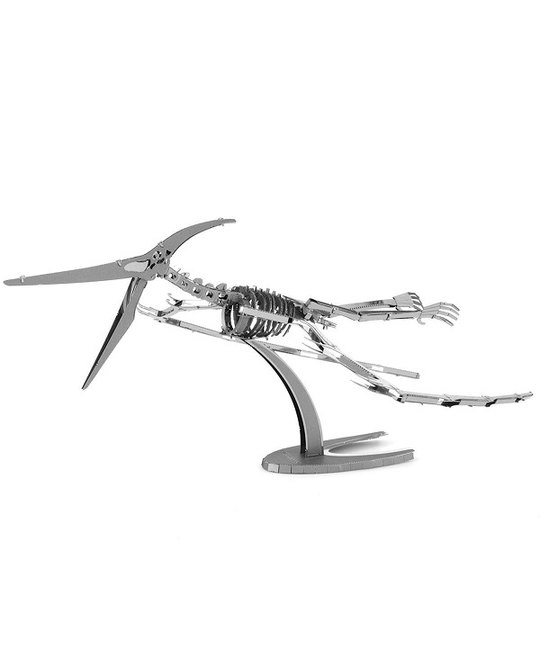 Pteranodon Skeleton