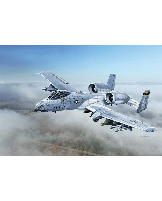 1/48 A - 10C Blacksnakes - 2725