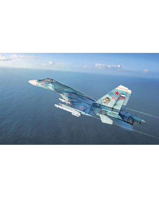 1/72 SU - 33D Flanker-D