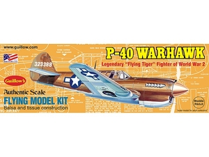 Curtiss P-40 Warhawk - 0501-model-kits-Hobbycorner