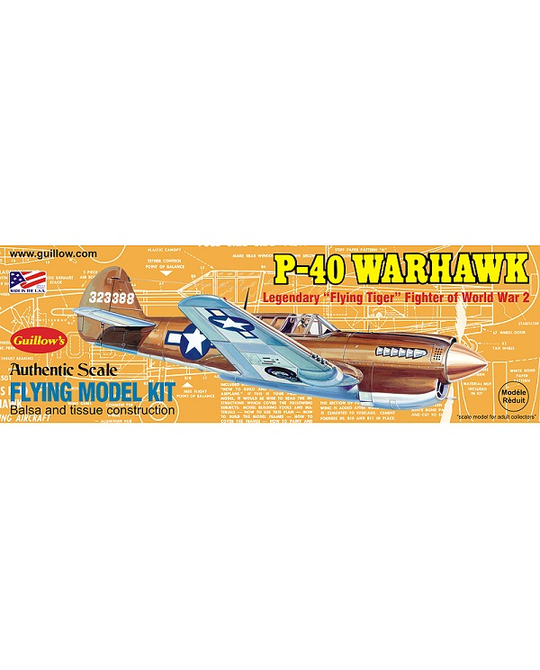 Curtiss P-40 Warhawk - 0501