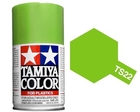 TS22 Light Green -  85022