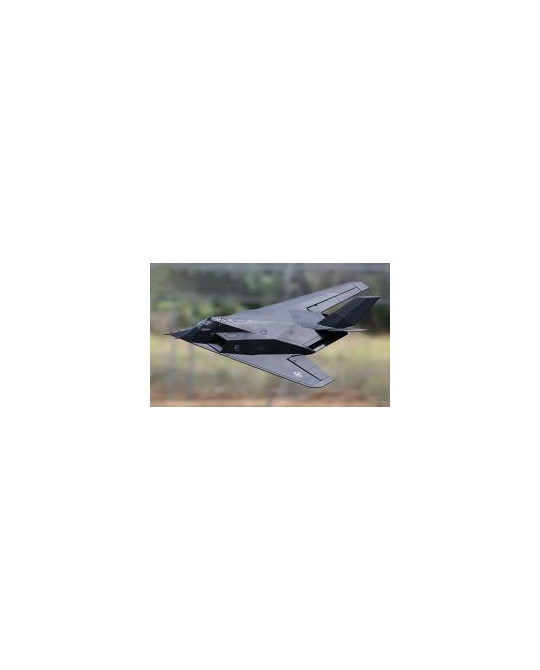 F- 117 Ducted Jet -  6CH -  RTF -  LX- 08003A
