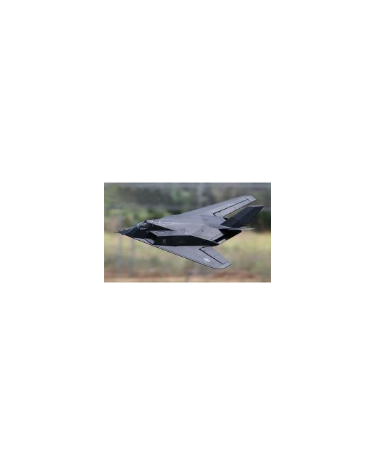 F- 117 Ducted Jet -  6CH -  RTF -  LX- 08003A