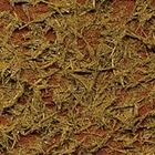 TEXTURE PAINT GRASS -  KHAKI -  87117