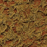 TEXTURE PAINT GRASS -  KHAKI -  87117-paints-and-accessories-Hobbycorner