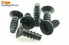 3X8mm Steel FH TP Screw (Cross Head) (6) -  116308CR