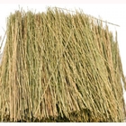 Field Grass Natural Brown -  95084