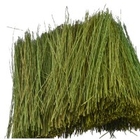 Field Grass Light Green 15g -  95086