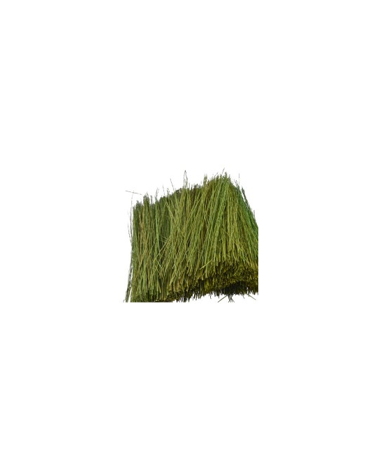 Field Grass Light Green 15g -  95086