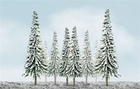 Economy Snow Pine 100- 150mm -  92007