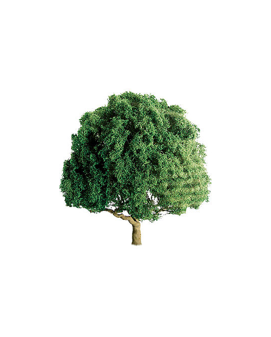 Oak Tree 3" -  94264