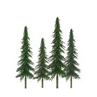 Spruce 50- 100mm -  92026