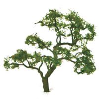 Beech Tree 75- 85mm -  92323-trains-Hobbycorner