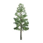 Pine Tree 200mm -  96027