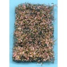 Dry Vine Dead Foilage -  95063